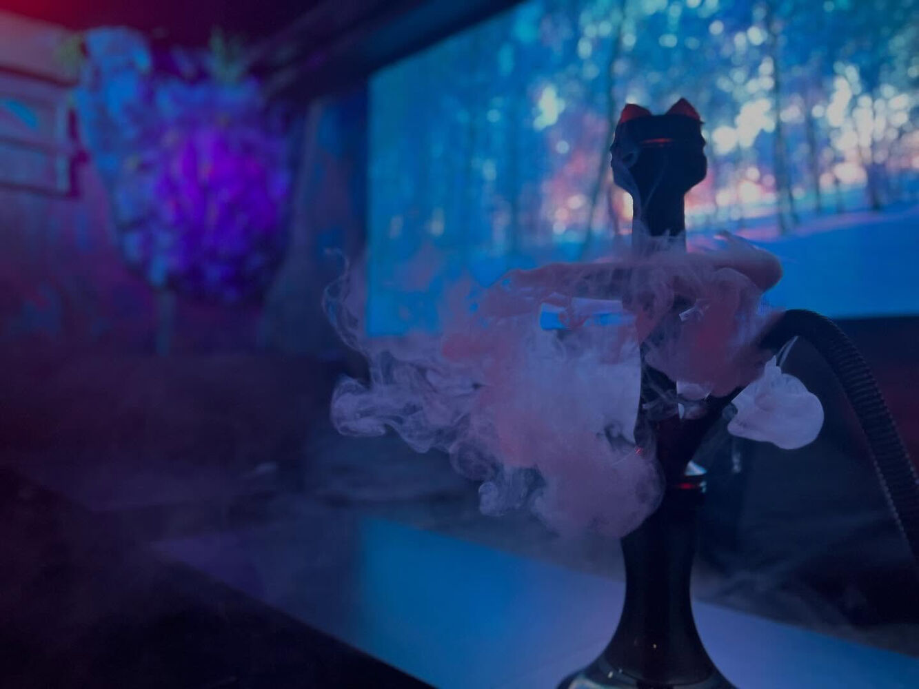 ブログ