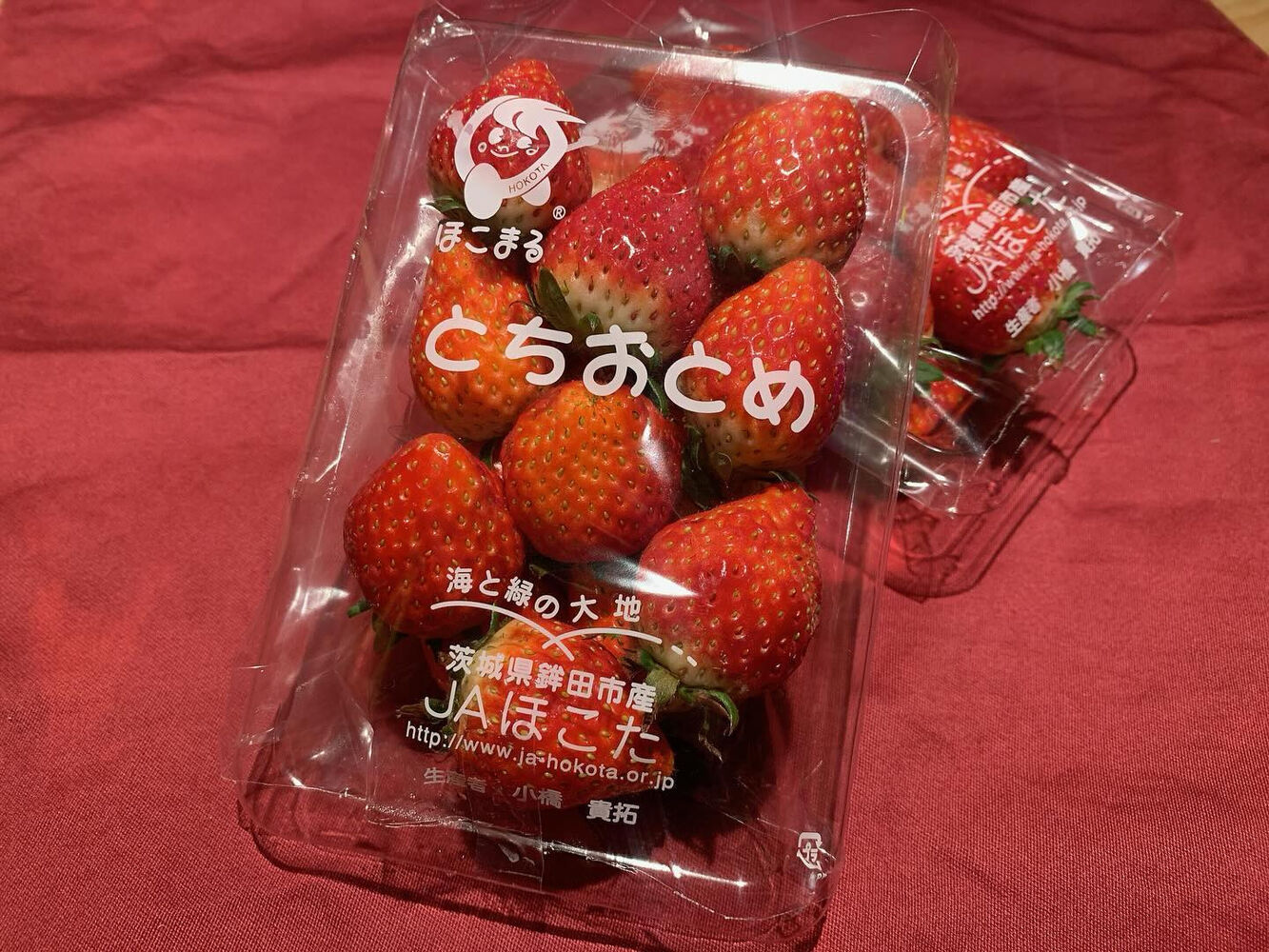 ブログ